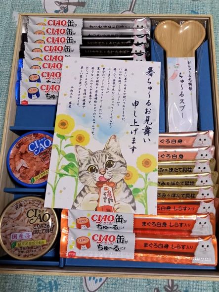 f:id:kotoleaf:20210709120141j:plain