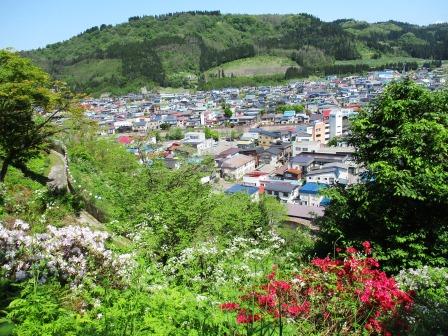 大鰐温泉つつじまつりが27日まで延長 満開でライトアップも つがる時空間