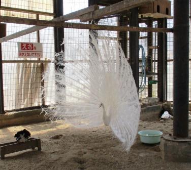 弥生いこいの広場