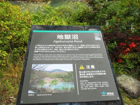 紅葉シーズン