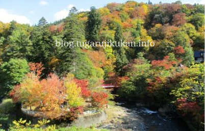 中野もみじ山