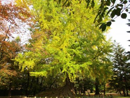 弘前公園・紅葉