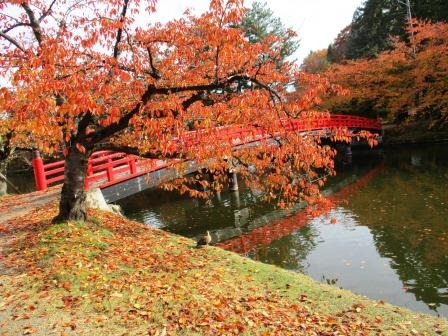 紅葉シーズン