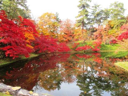 弘前城菊と紅葉まつり中止