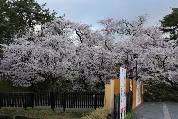 弘前公園