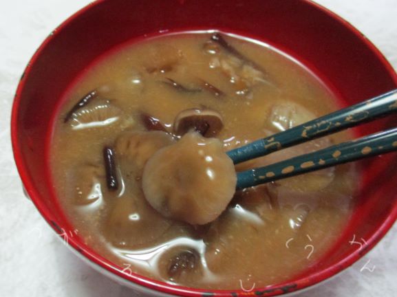 きのこ・さもだし