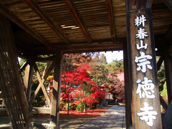 耕春山宗徳寺のモミジと前川國男晩年の作品 弘前市斎場 つがる時空間