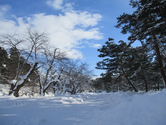 弘前公園・桜の開花予想