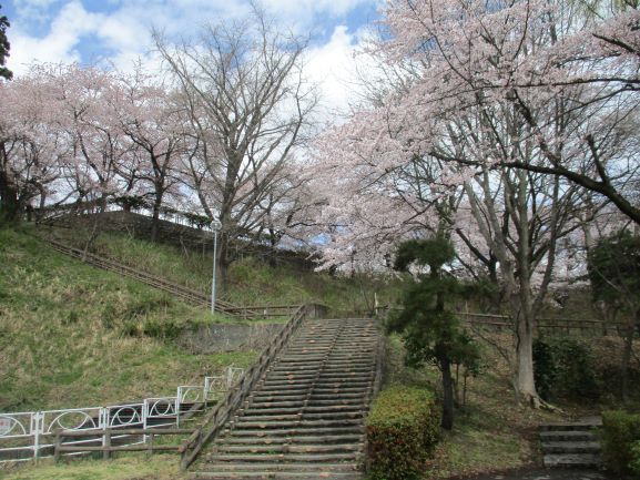 東公園さくら山