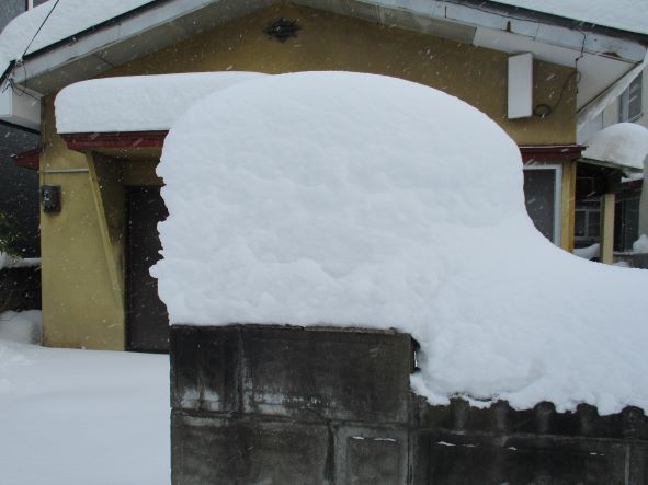 雪の被害・積雪