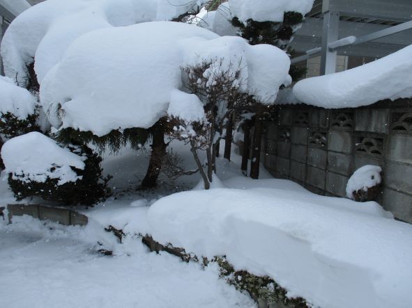 津軽弁・がっこ