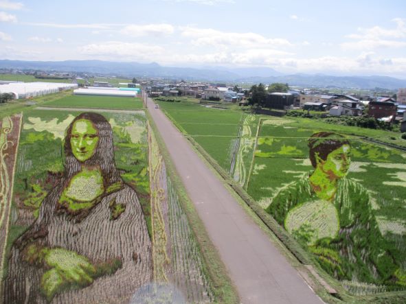 田舎館村の田んぼアート2022「モナリザと湖畔」と「縄文から弥生へ