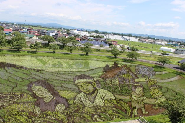 田舎館村田んぼアート