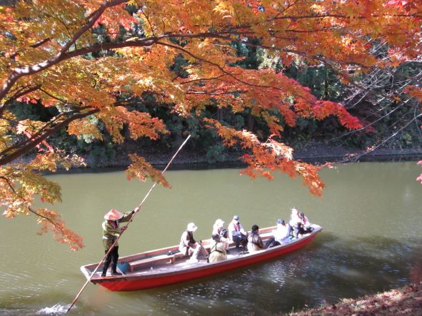 弘前城菊と紅葉まつり