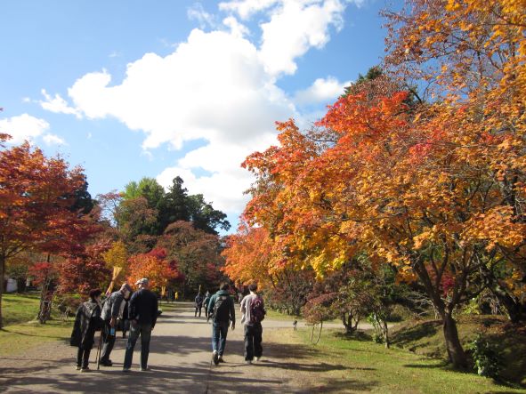 弘前公園紅葉ライトアップ