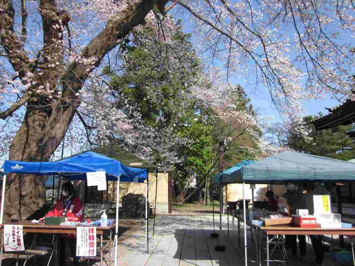 最勝院・仁王像