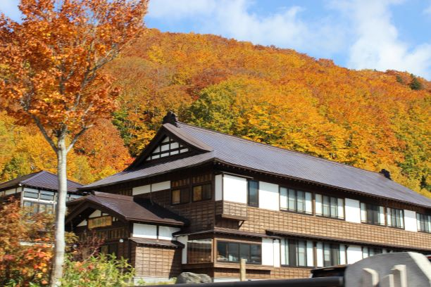 紅葉情報