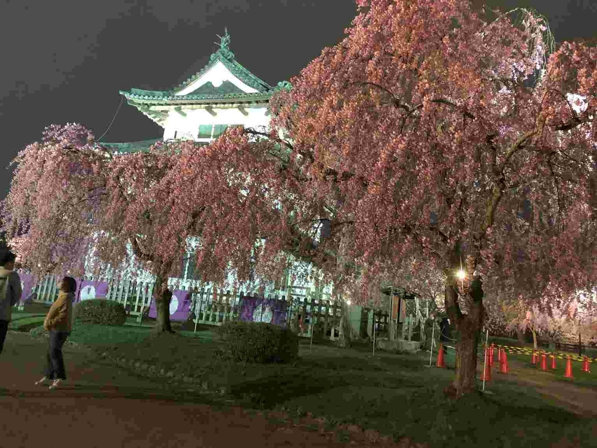 夜桜・弘前城天守夜桜・弘前さくらまつり