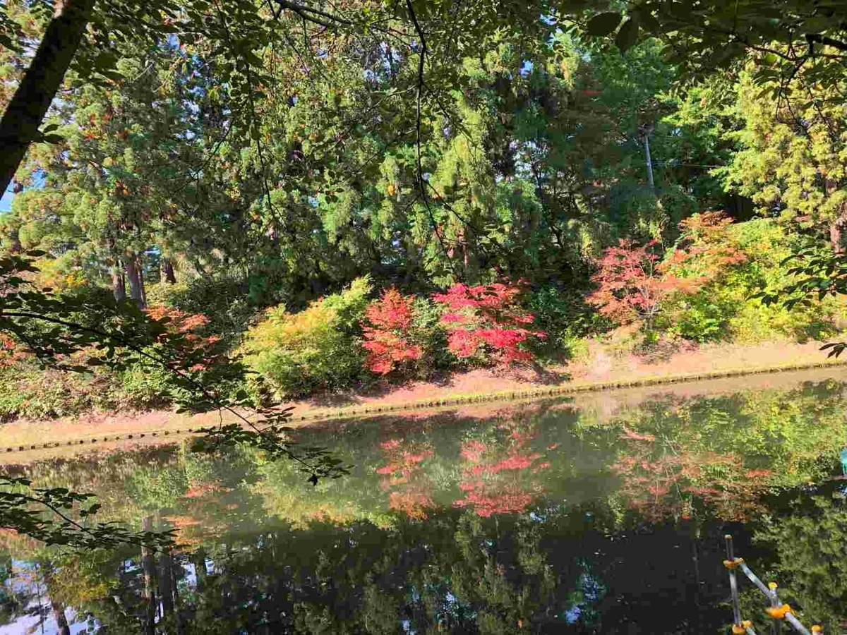弘前城菊と紅葉まつり2024