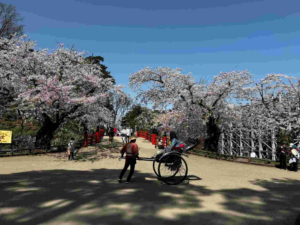 弘前さくらまつり・花筏
