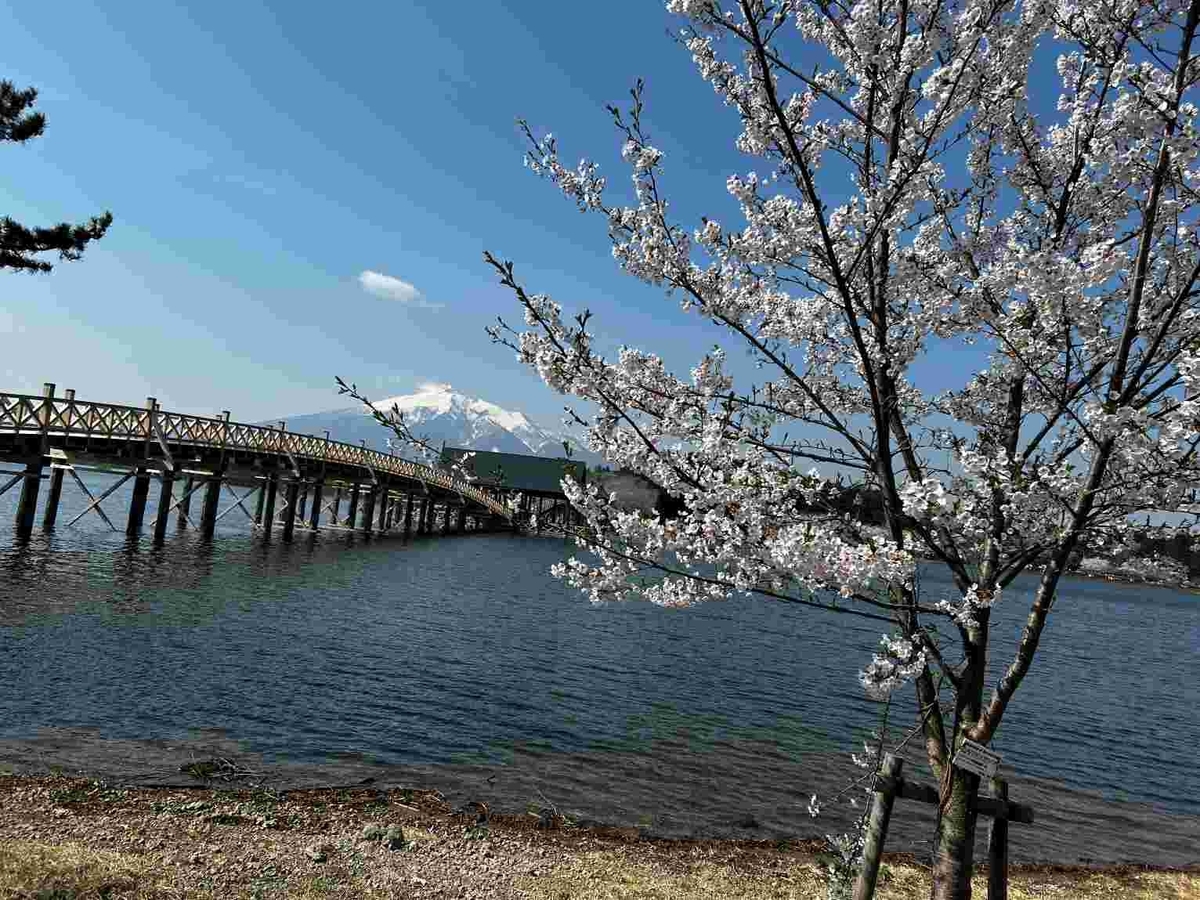 鶴の舞橋・改修工事完了・津軽富士見湖