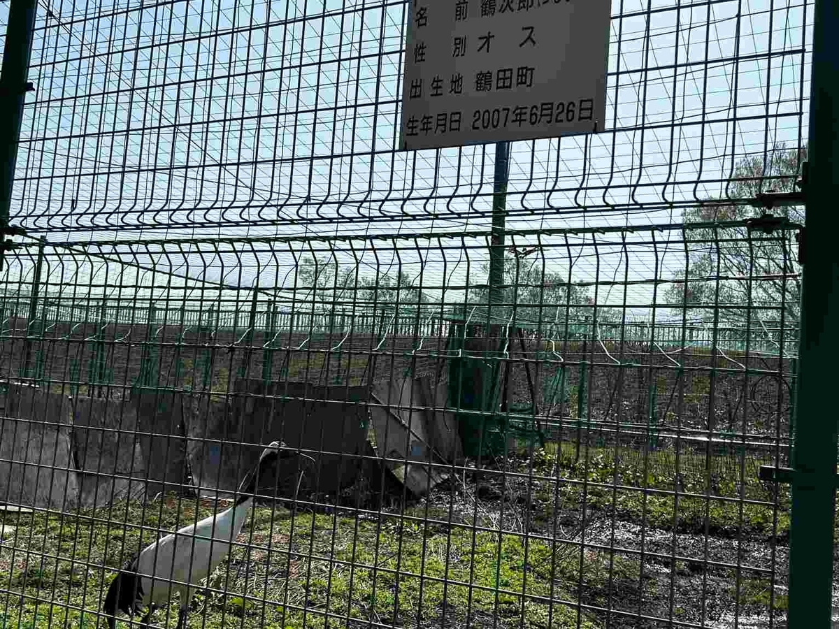 鶴の舞橋・改修工事完了