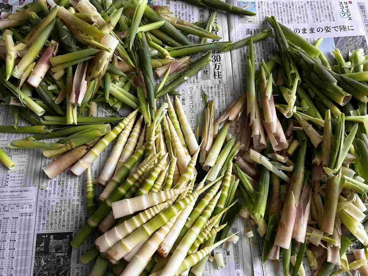 タケノコの味噌汁・青森の郷土料理