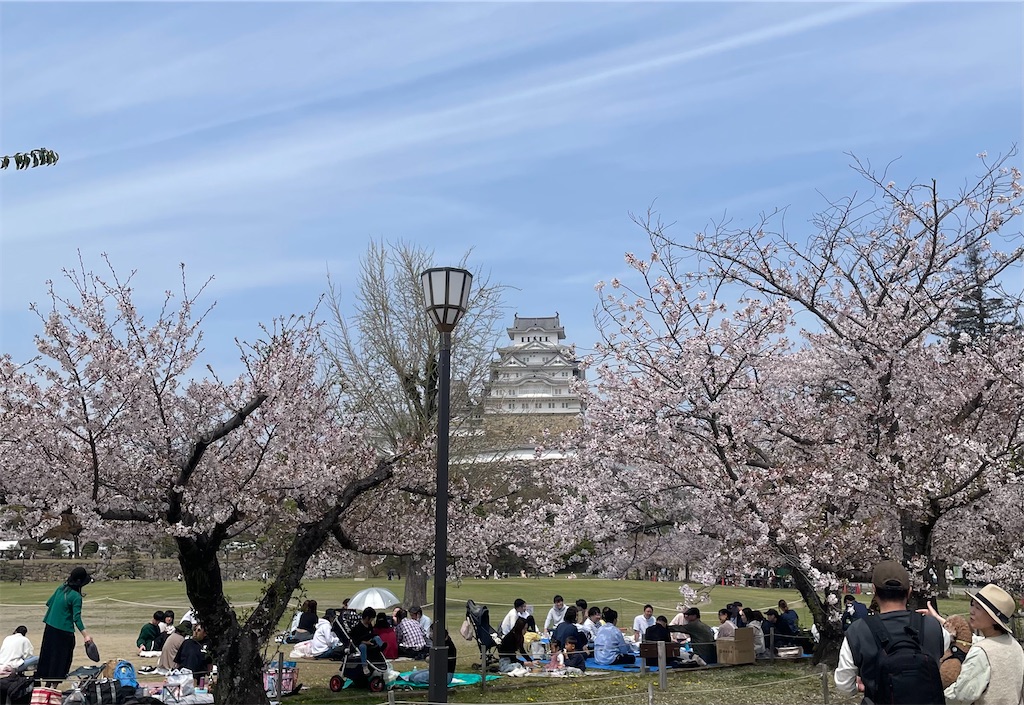 f:id:kotonasa:20250412182710j:image