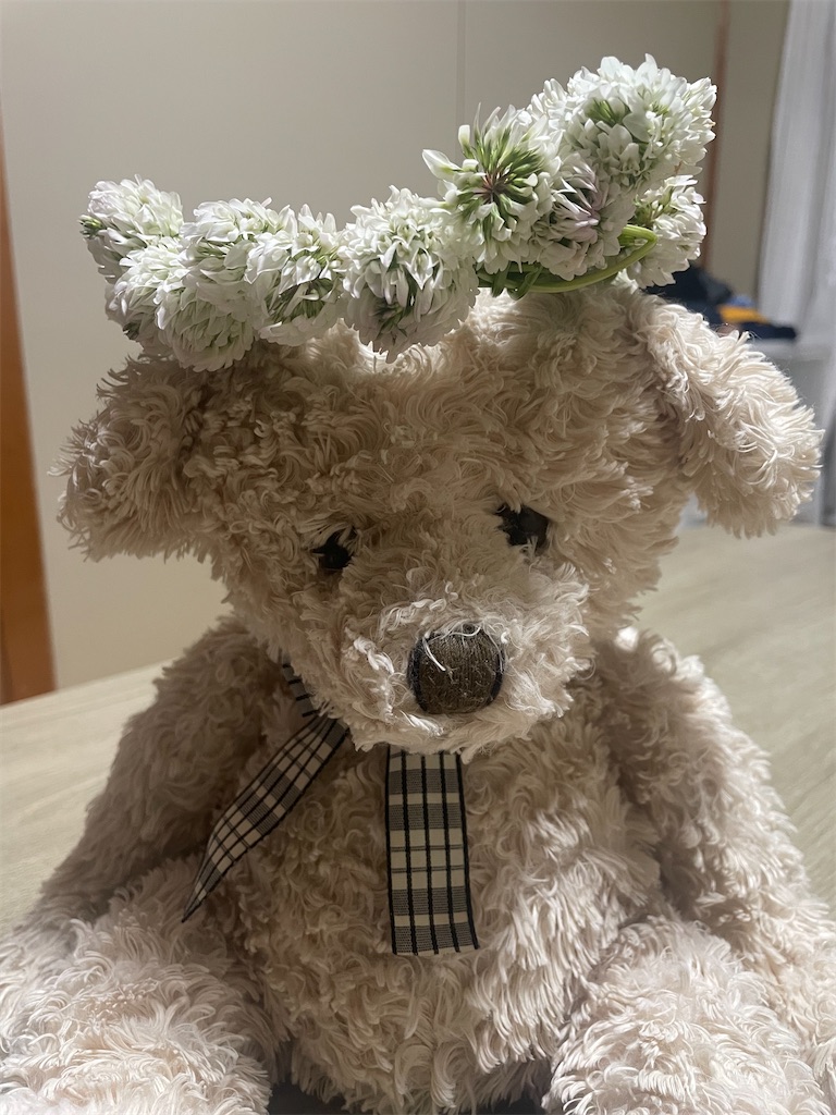 f:id:kotonasa:20250515064848j:image