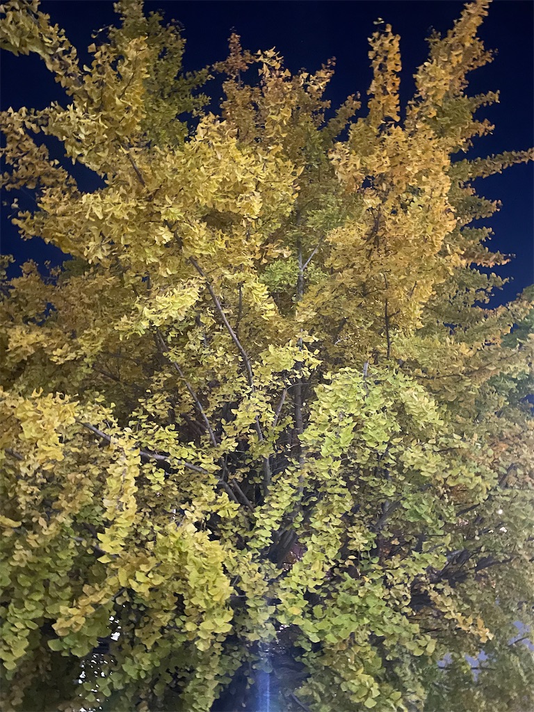 f:id:kotonasa:20251118232023j:image