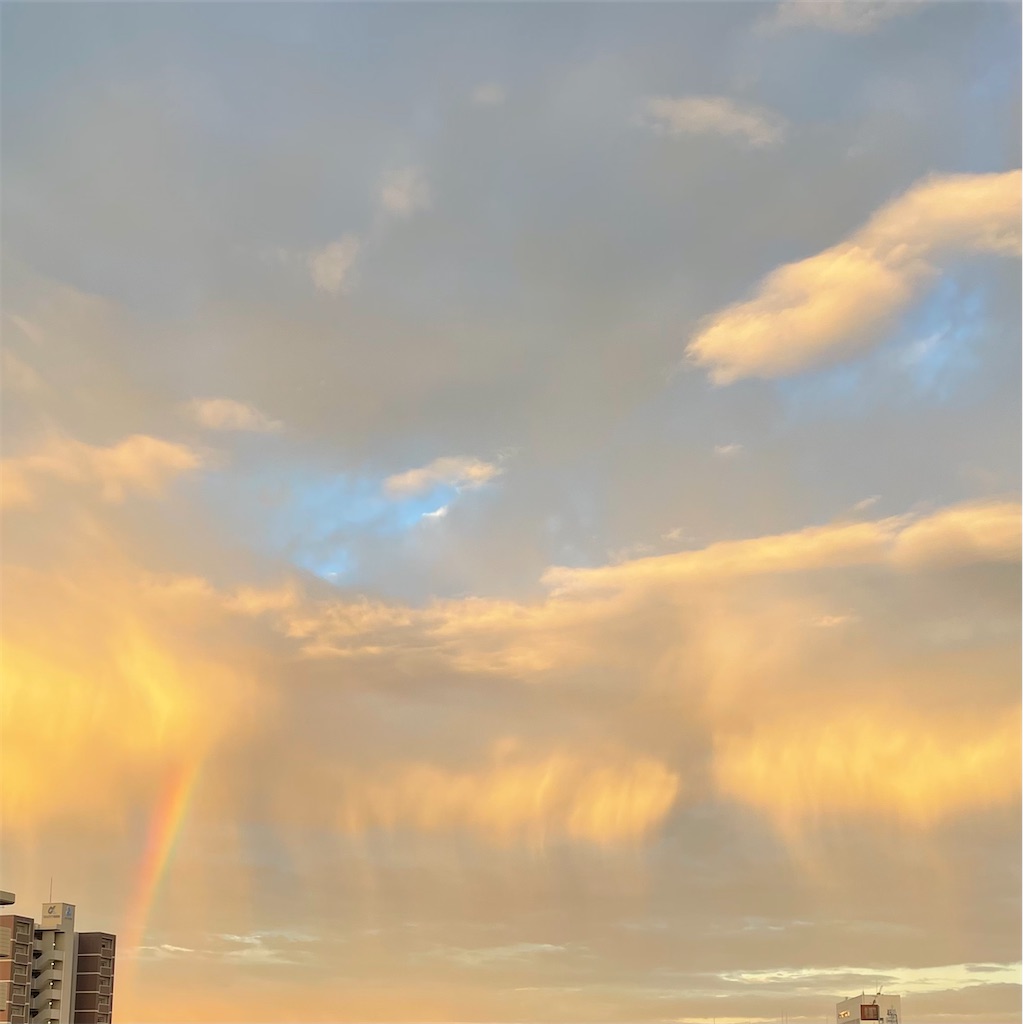 f:id:kotonasa:20251220124156j:image