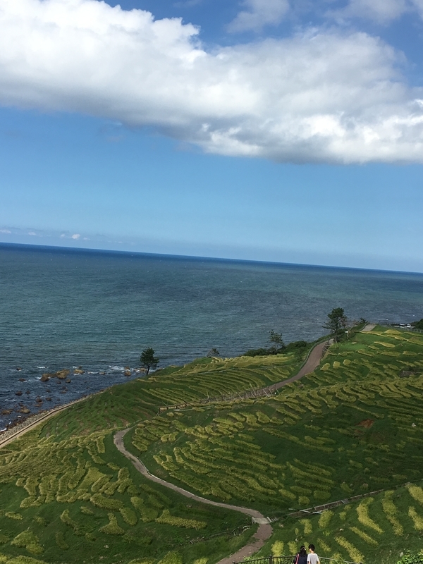f:id:kotoniko:20180914123601j:image:w360 f:id:kotoniko:20180914123601j:image:w360