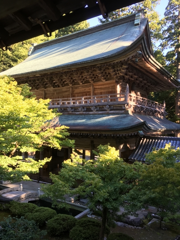 f:id:kotoniko:20180914151657j:image:w360 f:id:kotoniko:20180914151657j:image:w360