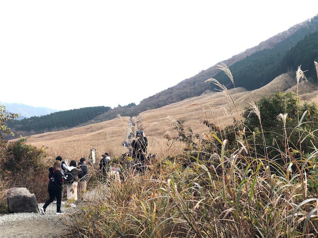 f:id:kotonoha00:20201115140722j:image f:id:kotonoha00:20201115140722j:image