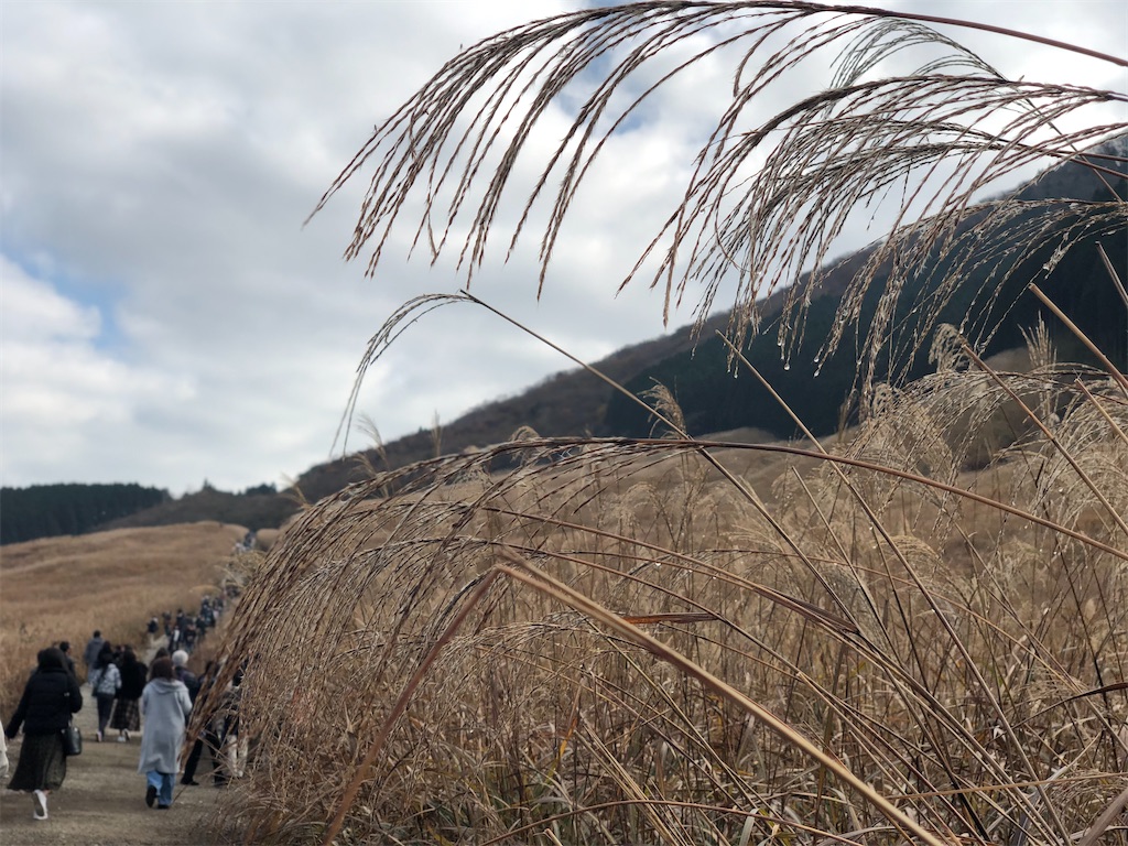f:id:kotonoha00:20201115142059j:image f:id:kotonoha00:20201115142059j:image