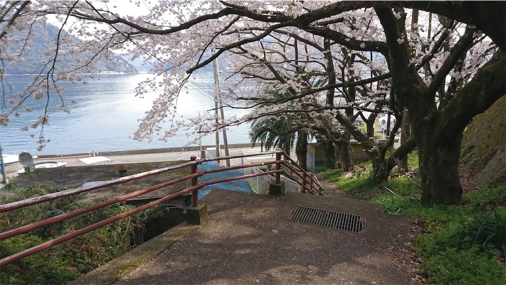 f:id:kotonoha_wing:20210223190145j:image