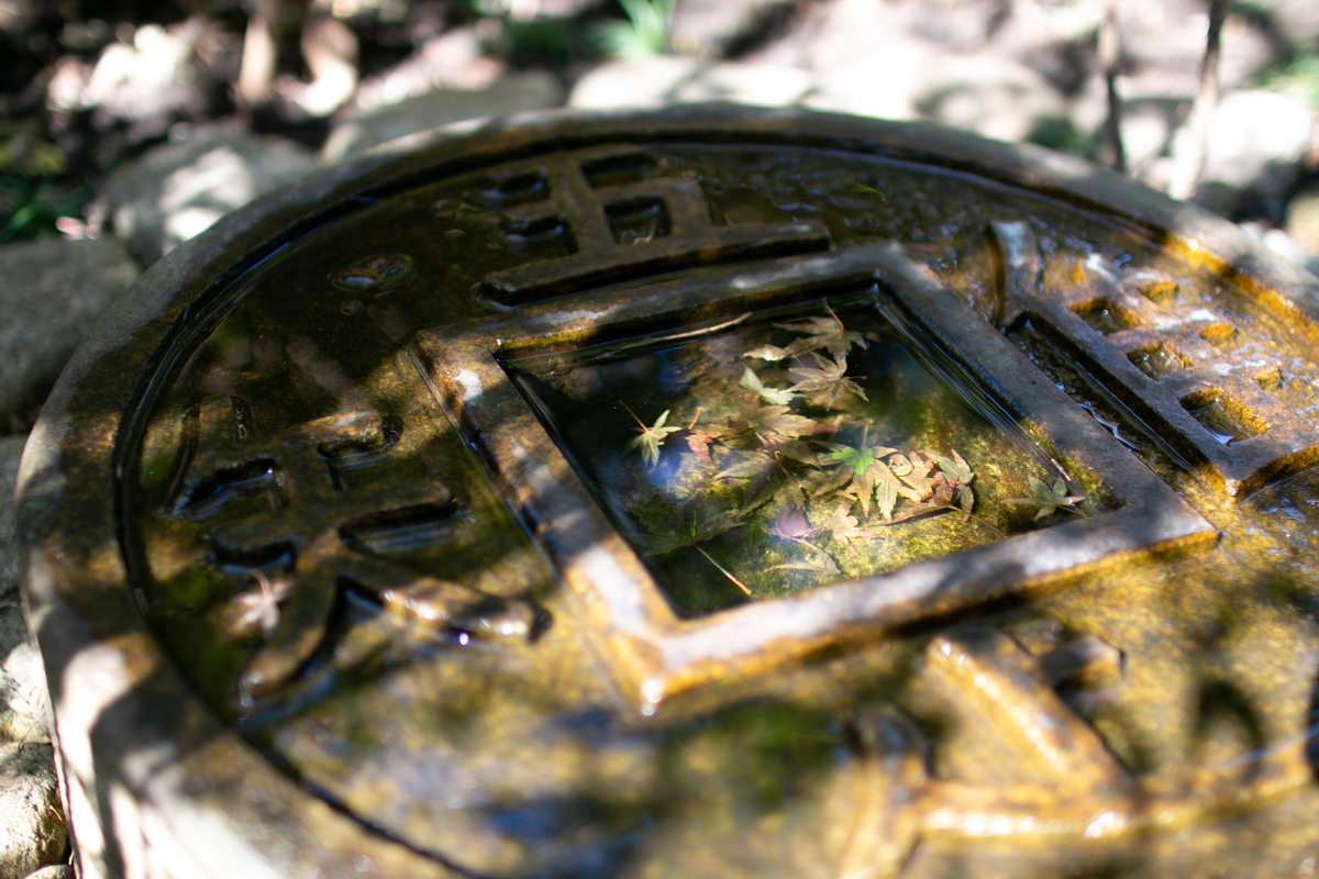 f:id:kotonohajizo:20191030230234j:plain f:id:kotonohajizo:20191030230234j:plain