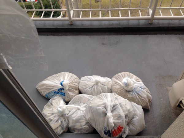 f:id:kotonohamania:20190924160128j:plain