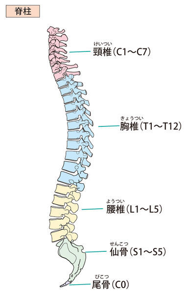 f:id:kotonohamania:20191115113506j:plain