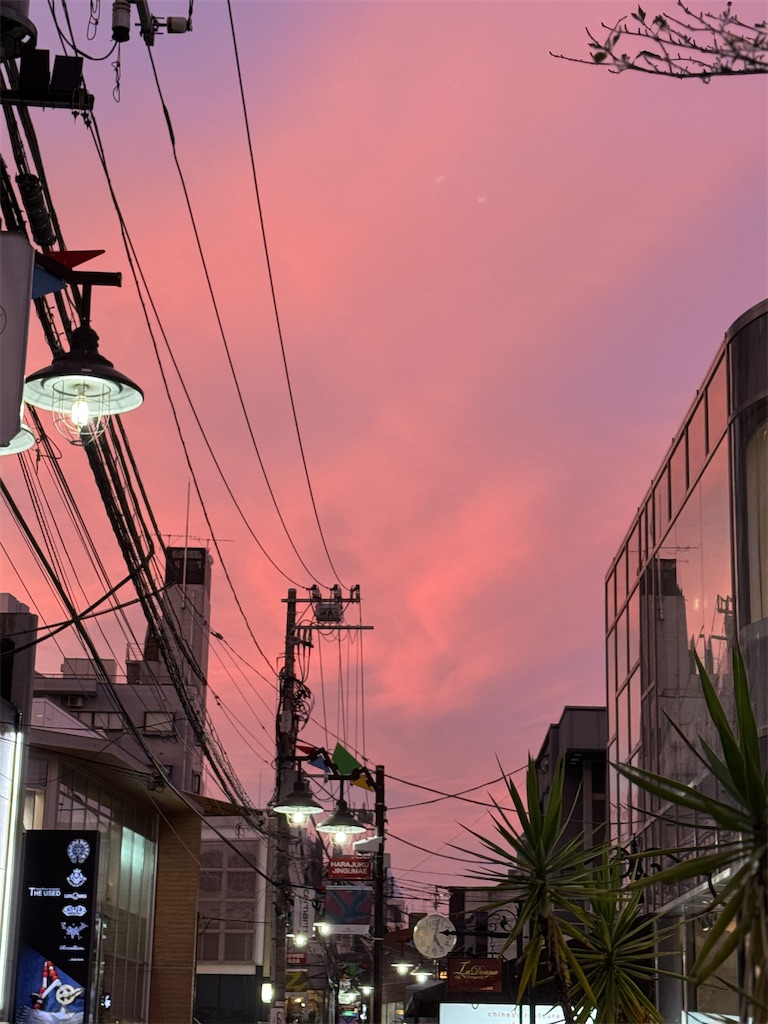 f:id:kotonoinmidnight:20251110081201j:image