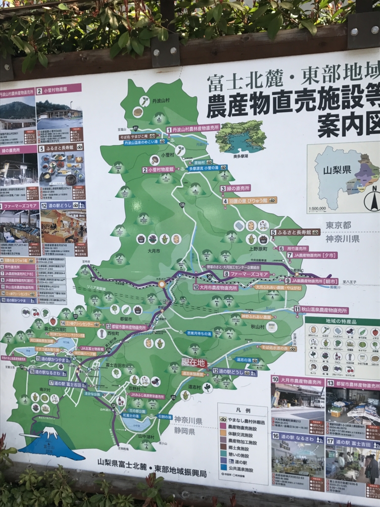 f:id:kotoratan:20170420175036j:plain f:id:kotoratan:20170420175036j:plain