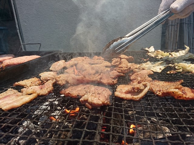 f:id:kotori11:20190329234417j:image f:id:kotori11:20190329234417j:image