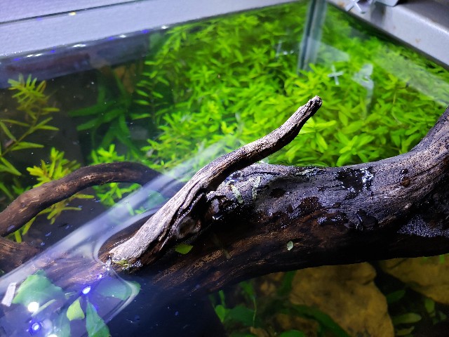 f:id:kotori11:20190516152434j:image f:id:kotori11:20190516152434j:image
