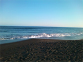 f:id:kotorica:20100102152604j:image f:id:kotorica:20100102152604j:image