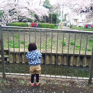 f:id:kotorica:20160411135700j:image f:id:kotorica:20160411135700j:image