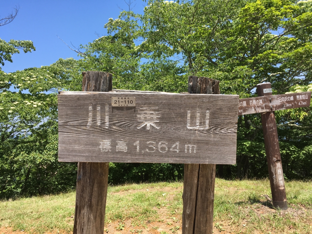f:id:kotorigenome:20160621134537j:plain f:id:kotorigenome:20160621134537j:plain