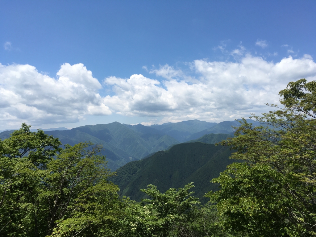 f:id:kotorigenome:20160621134650j:plain f:id:kotorigenome:20160621134650j:plain