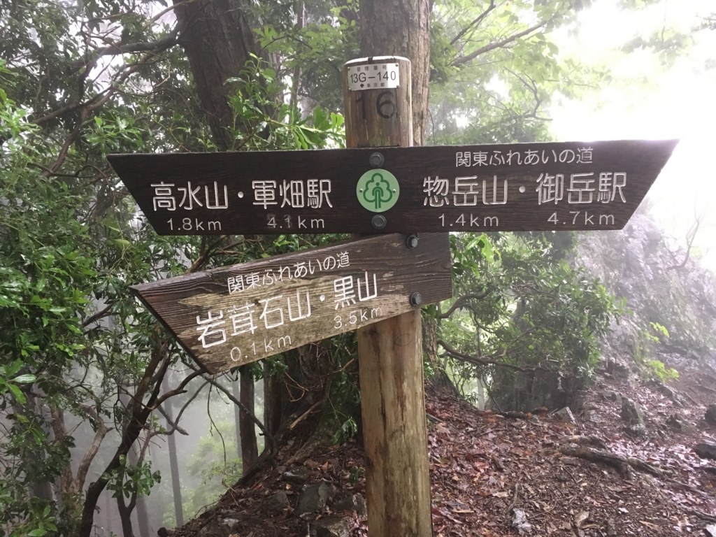 f:id:kotorigenome:20160622164521j:plain f:id:kotorigenome:20160622164521j:plain