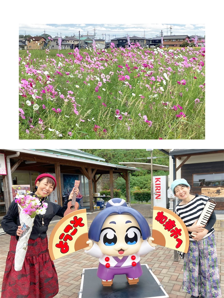 f:id:kotoriki:20251027014332j:image f:id:kotoriki:20251027014332j:image