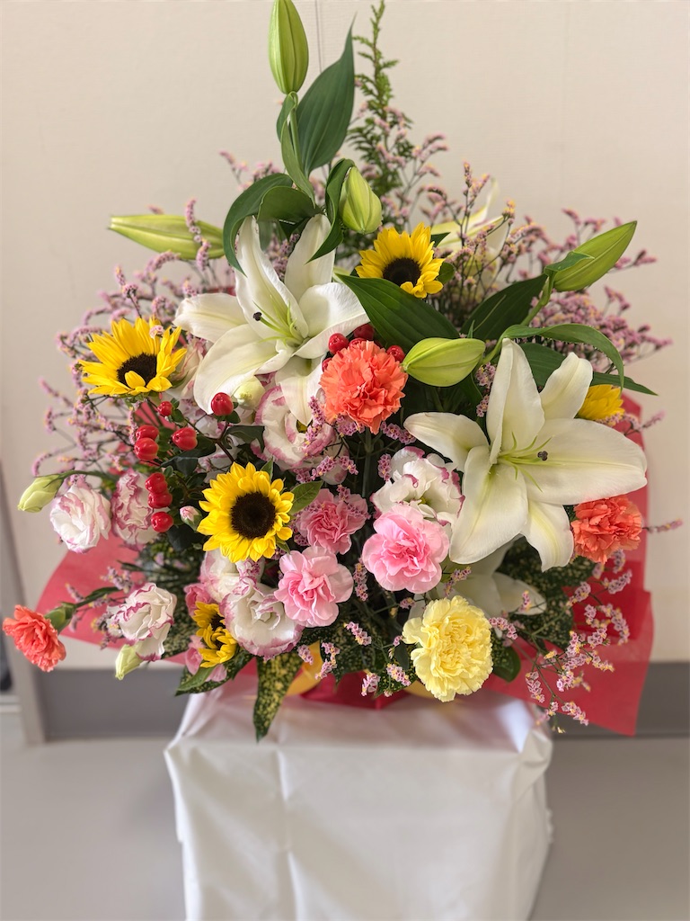 f:id:kotoriki:20260718204134j:image f:id:kotoriki:20260718204134j:image